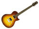 Taylor SolidBody Standard
